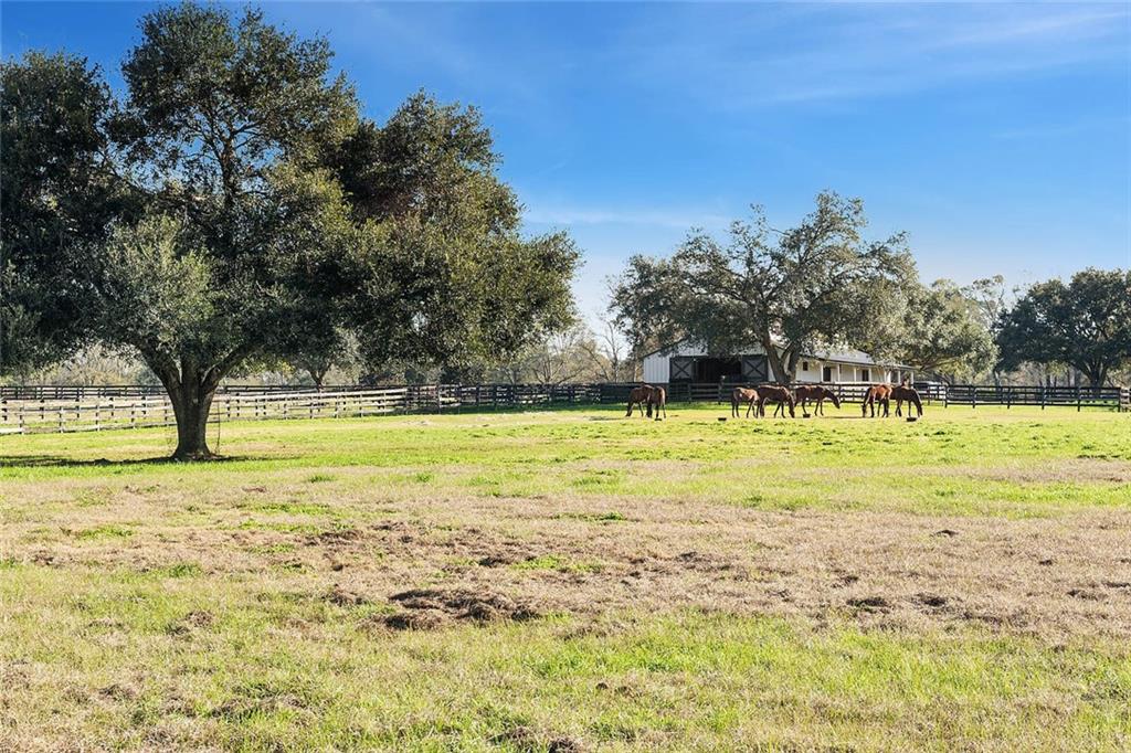 79200 Booth Road Folsom, LA 70437 - Photo 15 of 36