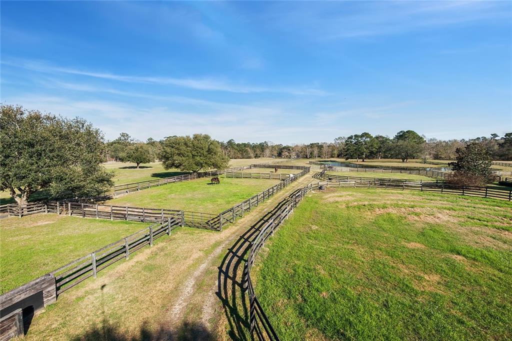 79200 Booth Road Folsom, LA 70437 - Photo 26 of 36