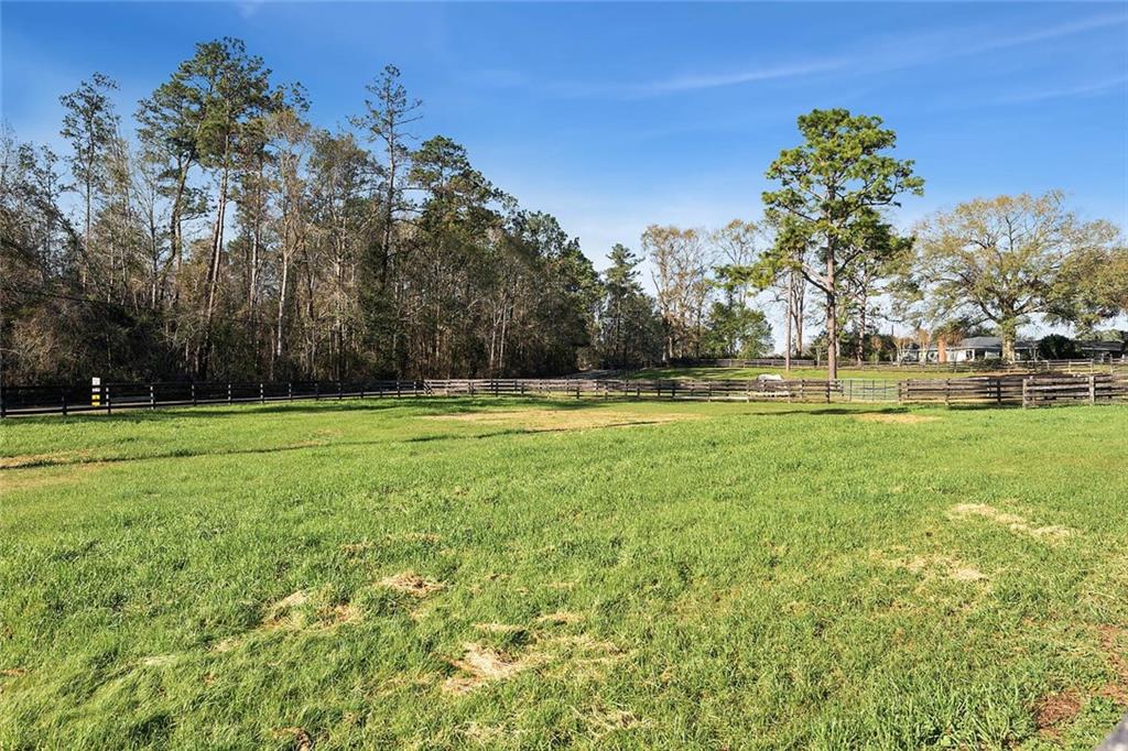 79200 Booth Road Folsom, LA 70437 - Photo 28 of 36