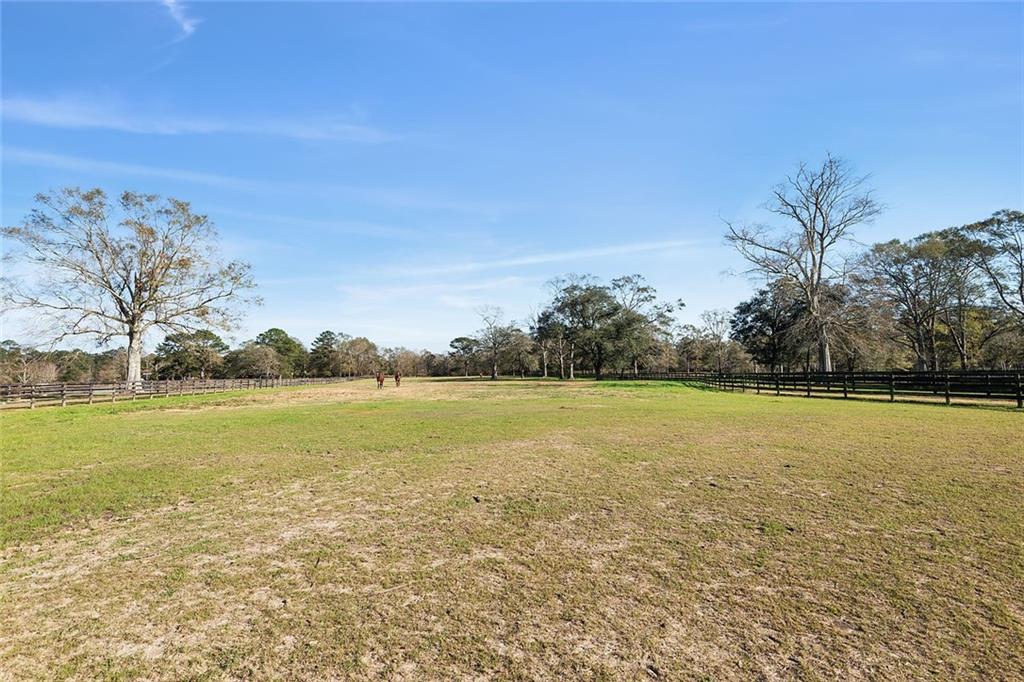 79200 Booth Road Folsom, LA 70437 - Photo 29 of 36