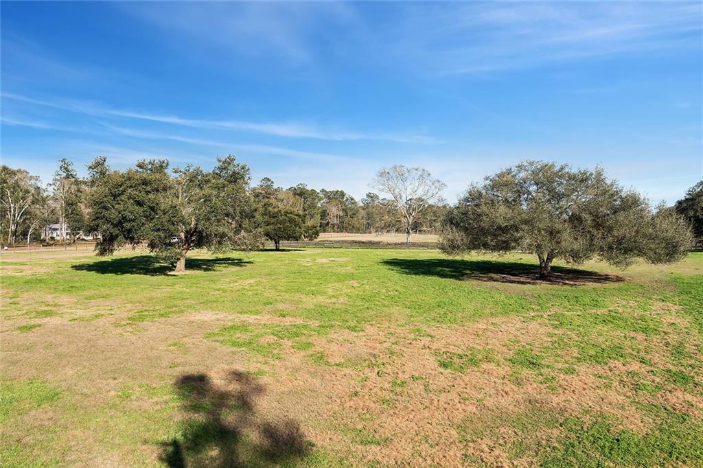 79200 Booth Road Folsom, LA 70437 - Photo 30 of 36