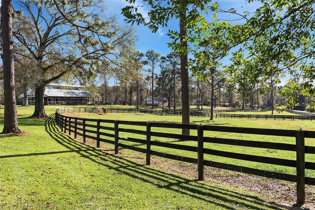 79200 Booth Road Folsom, LA 70437 - Photo 3 of 36