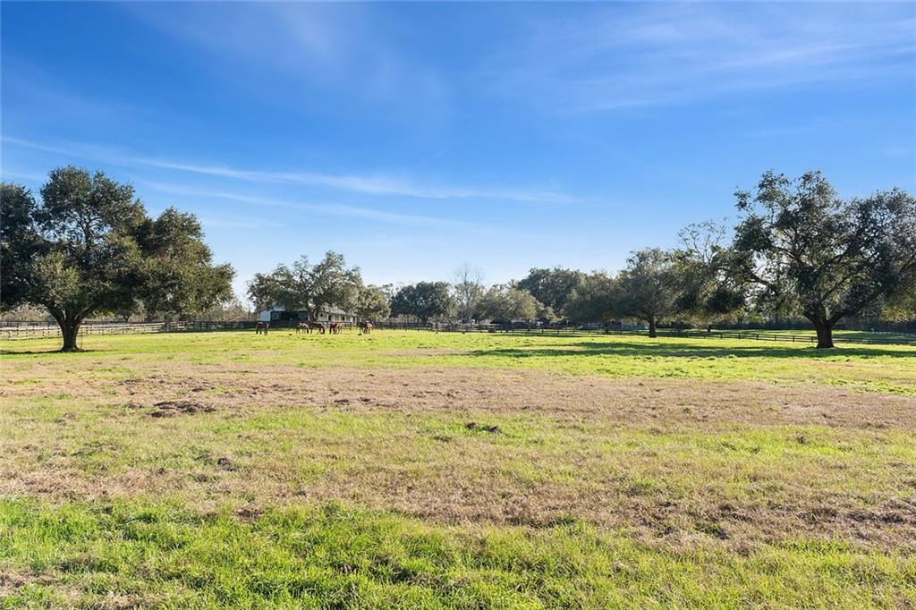 79200 Booth Road Folsom, LA 70437 - Photo 32 of 36