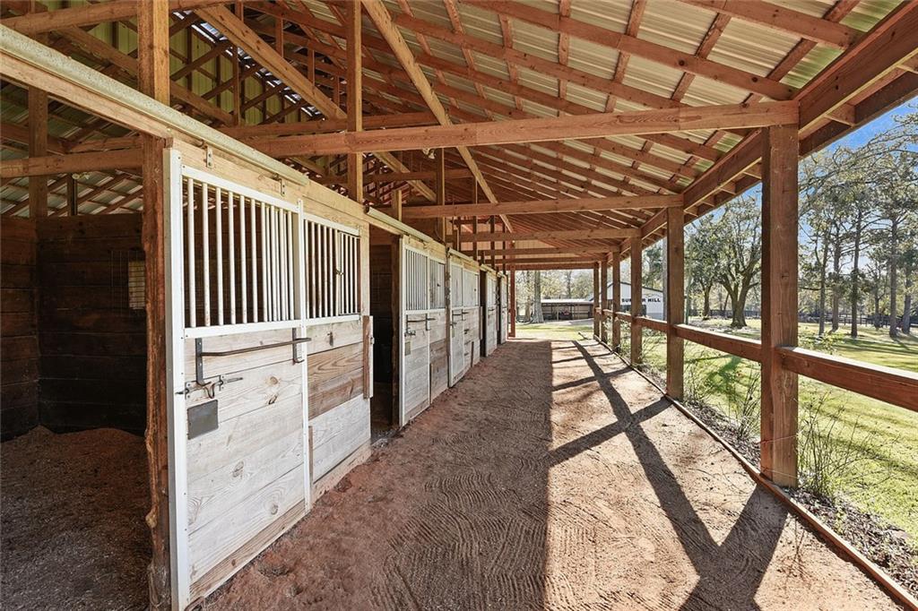 79200 Booth Road Folsom, LA 70437 - Photo 6 of 36