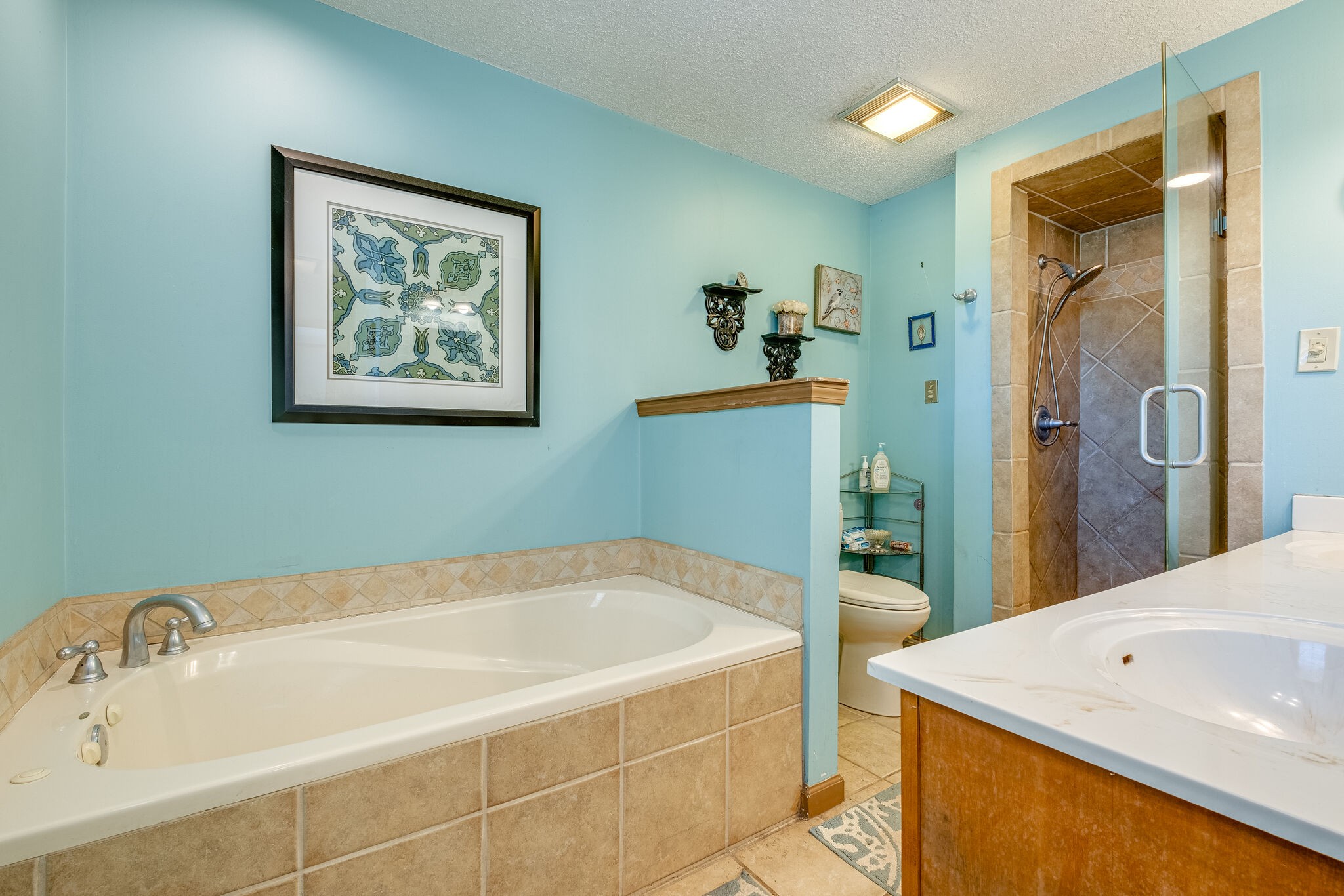 5025 Hickory Ridge Road Lebanon, TN 37087 - Photo 21 of 52 a bathroom with a tub sink and mirror