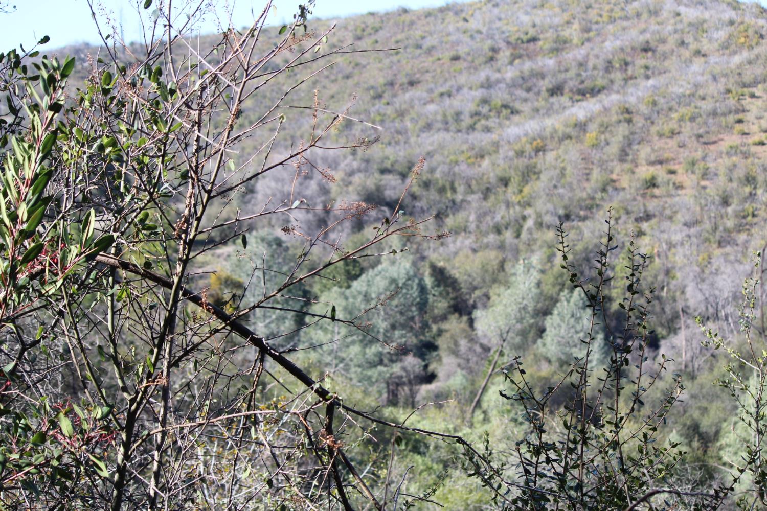 0 Fricot City Road Mountain Ranch, CA 95249 - Photo 6 of 9