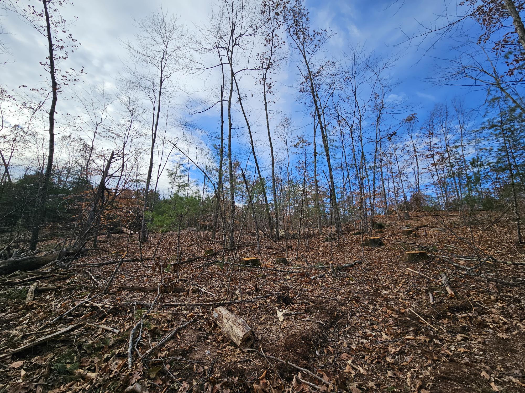 11 Old Alfred Road Waterboro, ME 04087 - Photo 22 of 38 20231103_115517