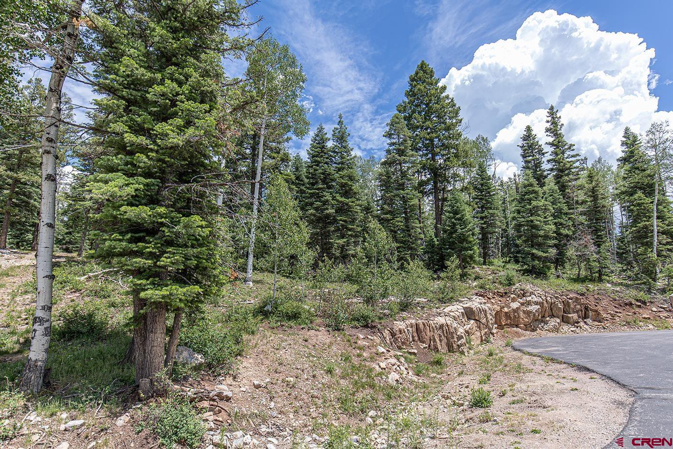 245 Sultan (lot 82) Drive Durango, CO 81301 - Photo 2 of 31 a view of a forest with a tree
