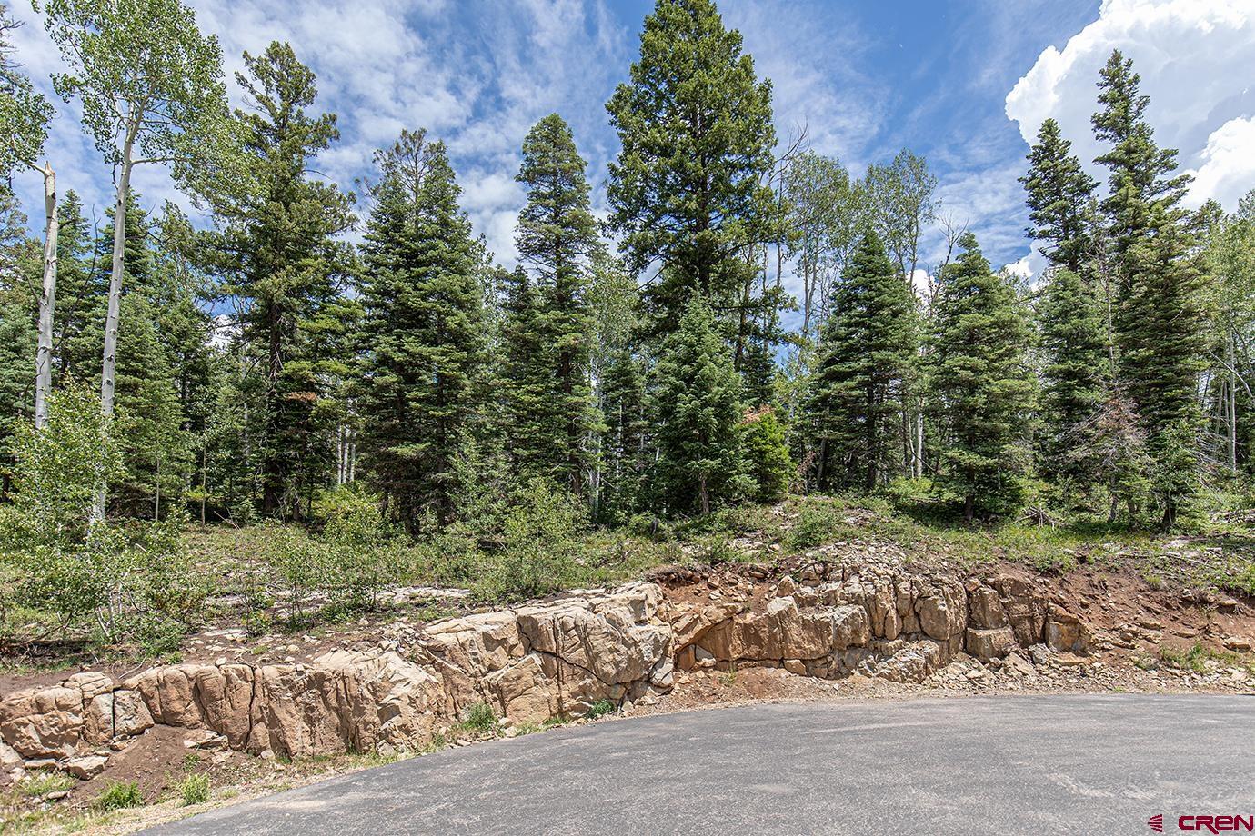 245 Sultan (lot 82) Drive Durango, CO 81301 - Photo 3 of 31 a view of a forest with trees