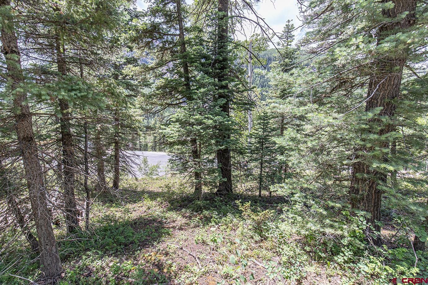 245 Sultan (lot 82) Drive Durango, CO 81301 - Photo 5 of 31 a view of a forest with houses