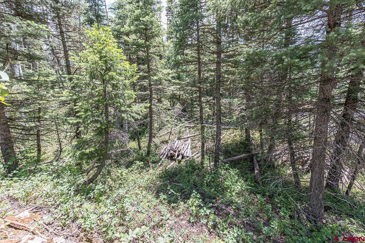 245 Sultan (lot 82) Drive Durango, CO 81301 - Photo 6 of 31 a view of a forest with a tree