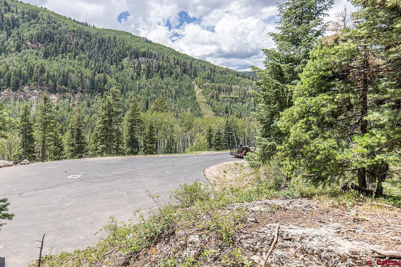 245 Sultan (lot 82) Drive Durango, CO 81301 - Photo 8 of 31 a view of a yard with plants and a tree
