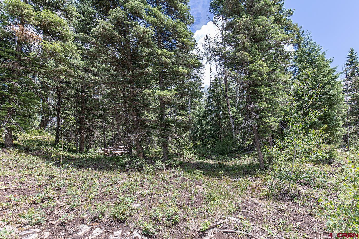 245 Sultan (lot 82) Drive Durango, CO 81301 - Photo 9 of 31 a view of a forest with trees in the background