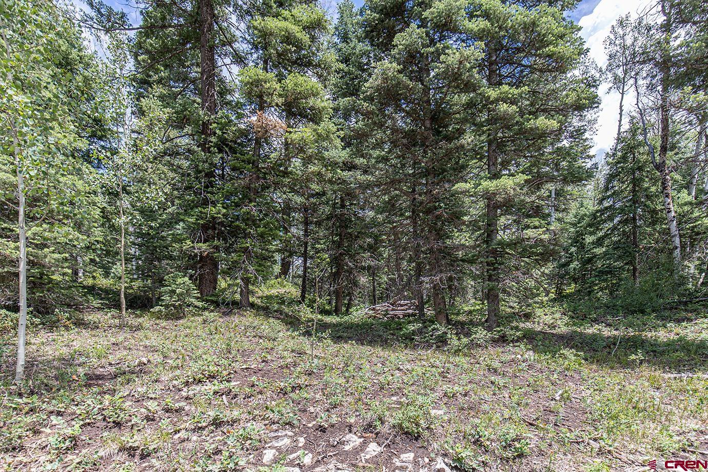 245 Sultan (lot 82) Drive Durango, CO 81301 - Photo 10 of 31 a view of a forest with trees in the background