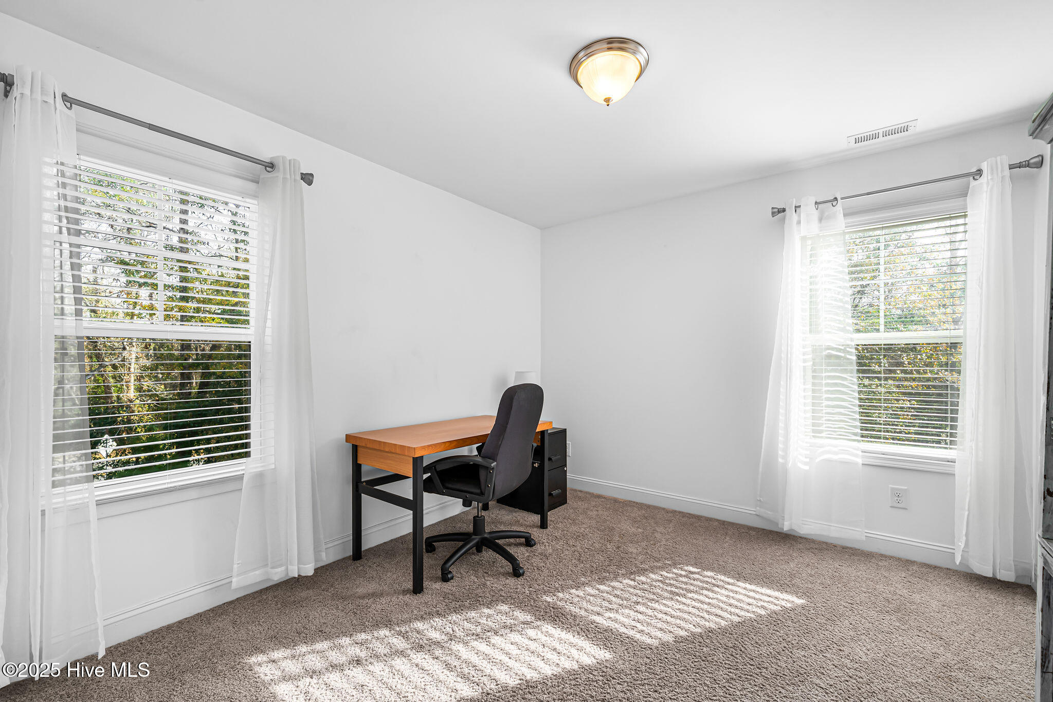 47 Thomas Lane Hampstead, NC 28443 - Photo 21 of 30 Home Office/Second Guest Room