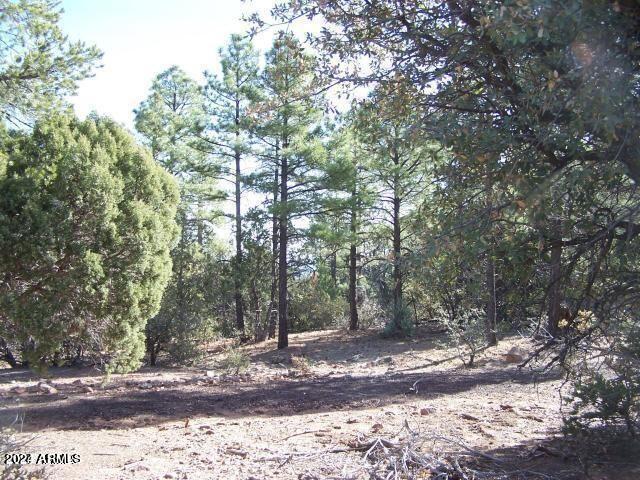 0 Timber Ranch Road Show Low, AZ 85901 - Photo 11 of 16 land 11