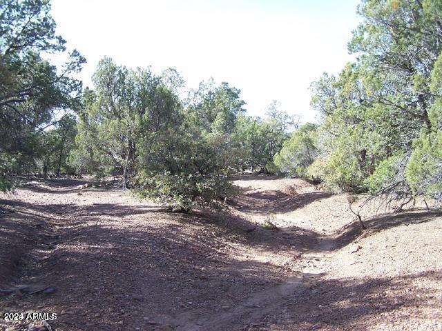 0 Timber Ranch Road Show Low, AZ 85901 - Photo 13 of 16 land 9