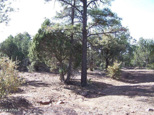 0 Timber Ranch Road Show Low, AZ 85901 - Photo 14 of 16 land 8