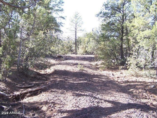 0 Timber Ranch Road Show Low, AZ 85901 - Photo 15 of 16 land 7