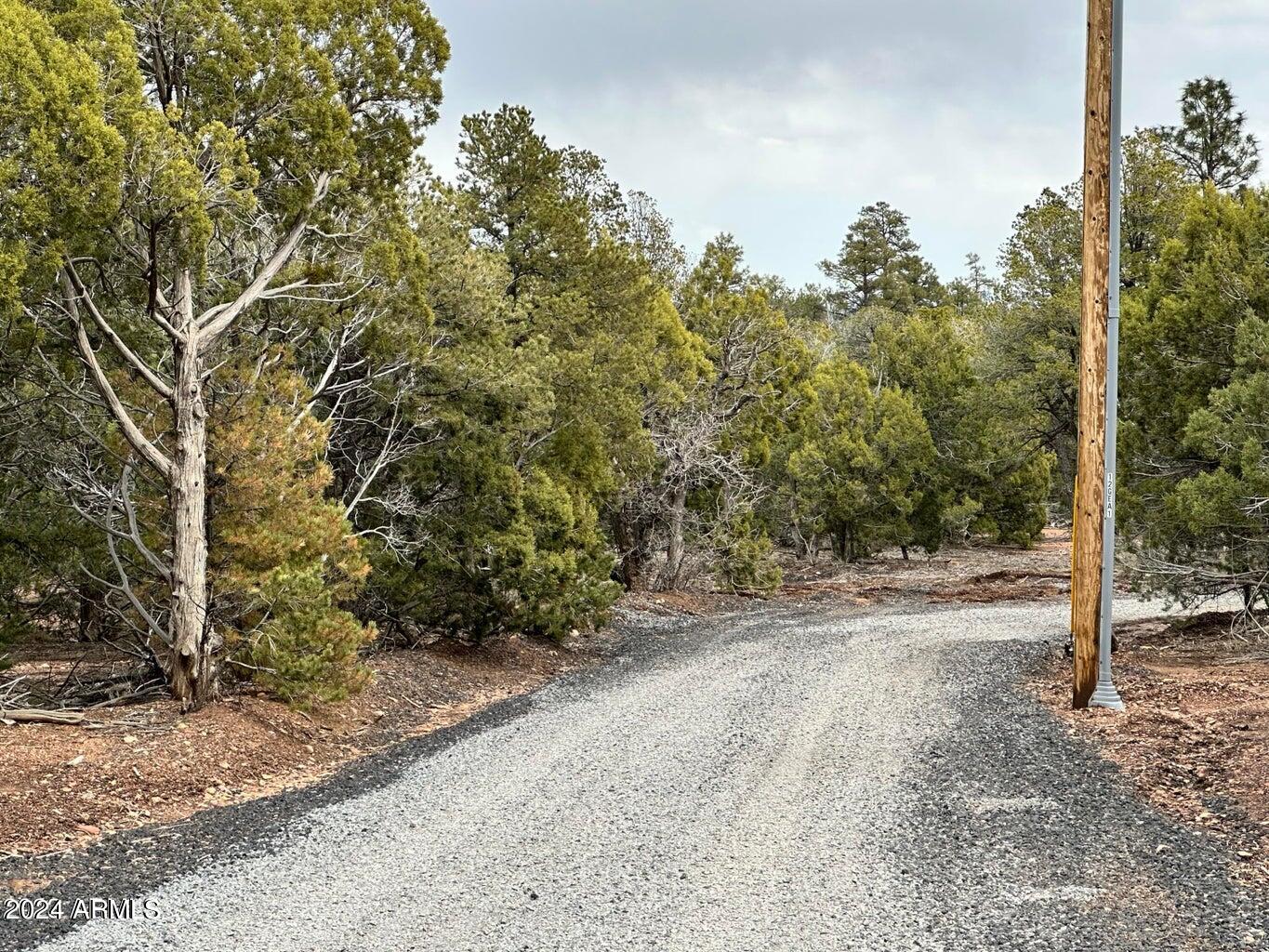 0 Timber Ranch Road Show Low, AZ 85901 - Photo 3 of 16 land 3