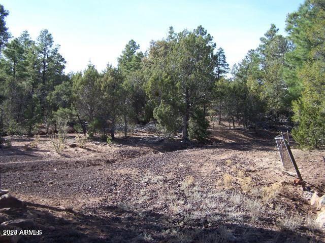 0 Timber Ranch Road Show Low, AZ 85901 - Photo 4 of 16 land 4