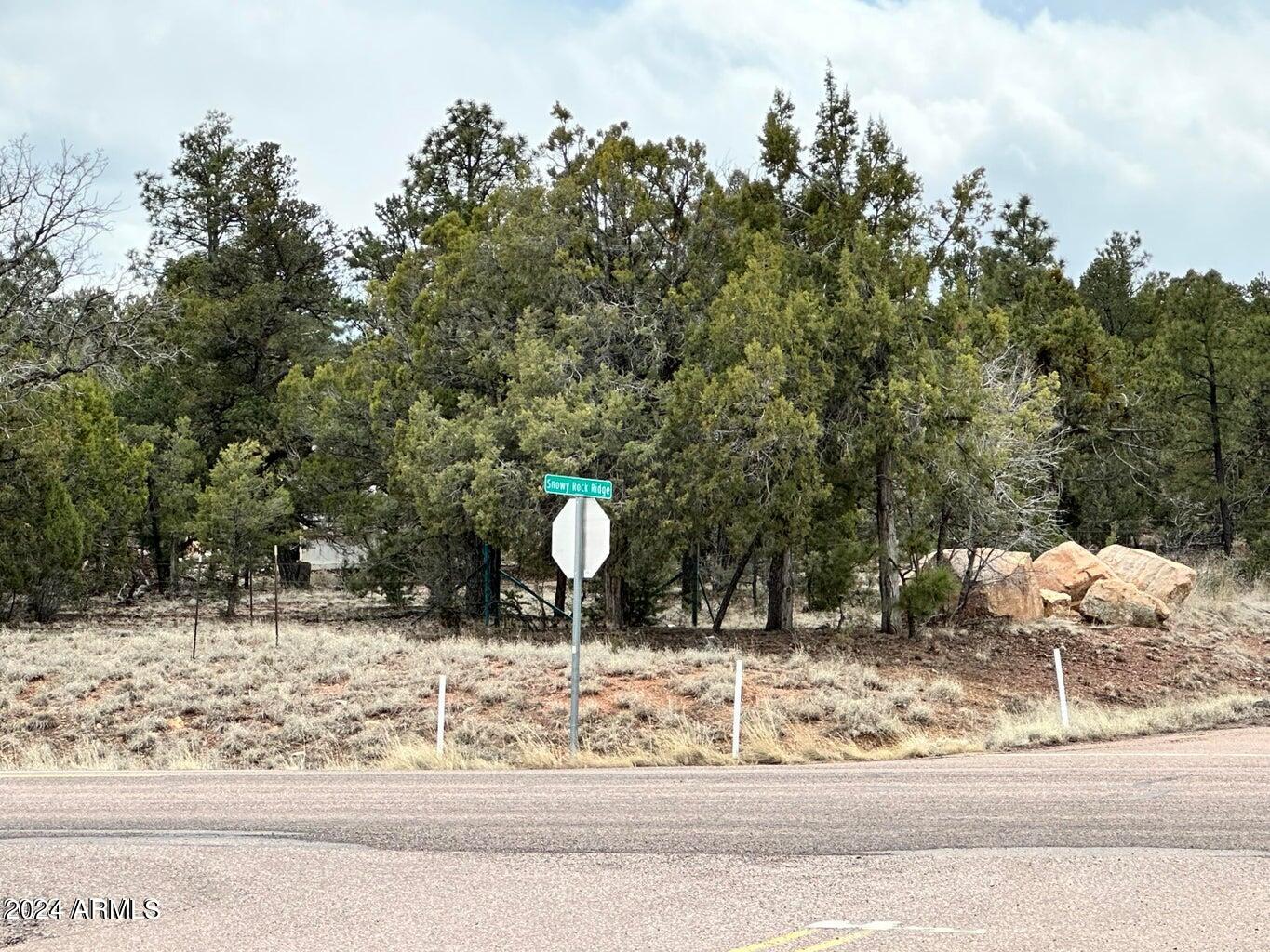 0 Timber Ranch Road Show Low, AZ 85901 - Photo 8 of 16 land 14