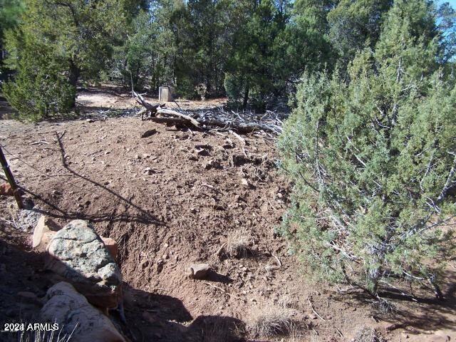 0 Timber Ranch Road Show Low, AZ 85901 - Photo 10 of 16 land 12