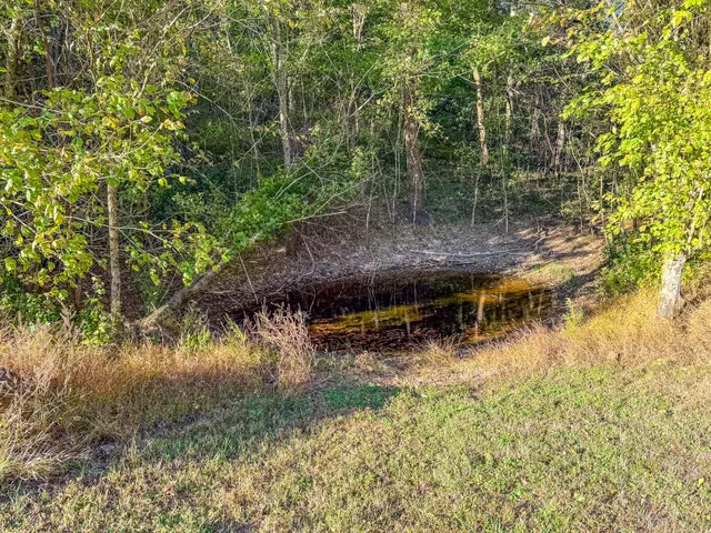 $2,800,000 | 564 Mt Olive Cemetery Road, Lynnville, TN 38472