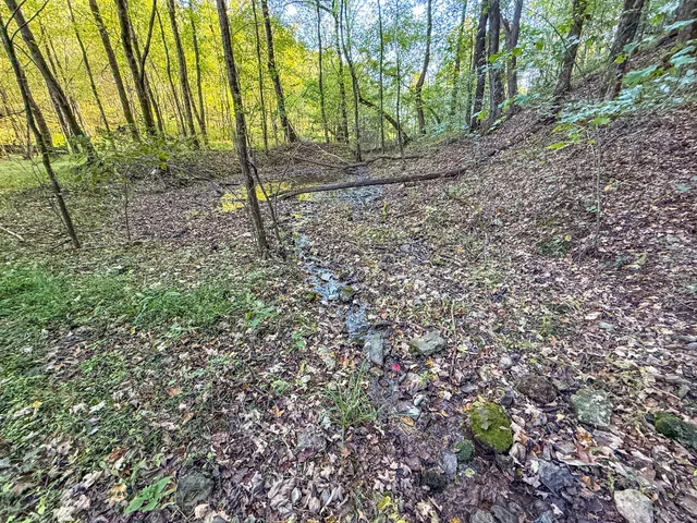 $2,800,000 | 564 Mt Olive Cemetery Road, Lynnville, TN 38472