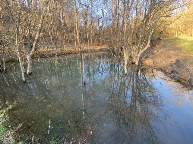 $2,800,000 | 564 Mt Olive Cemetery Road, Lynnville, TN 38472