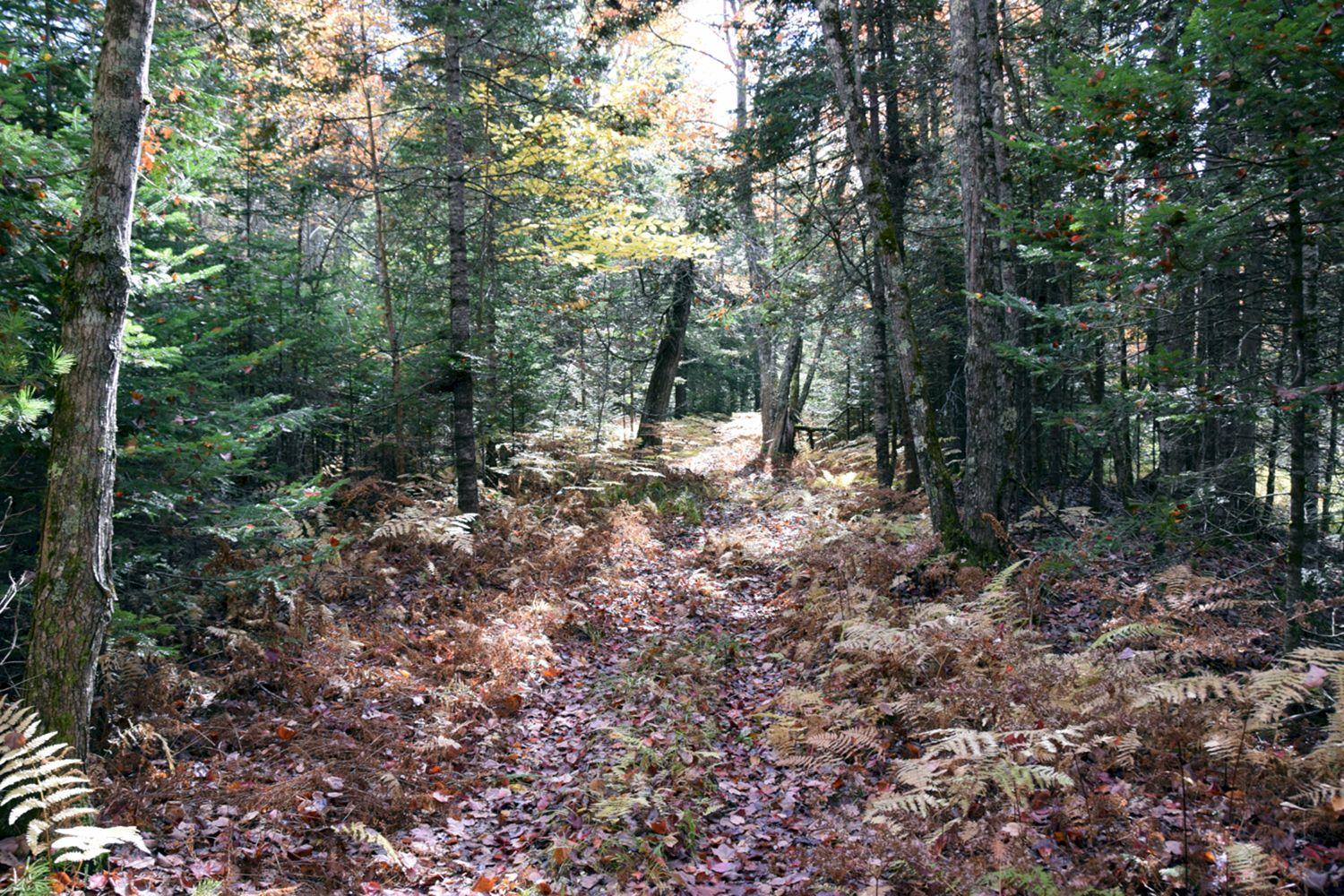 1a Halls Bridge Road Canaan, ME 04924 - Photo 27 of 44 DSC_0010 a
