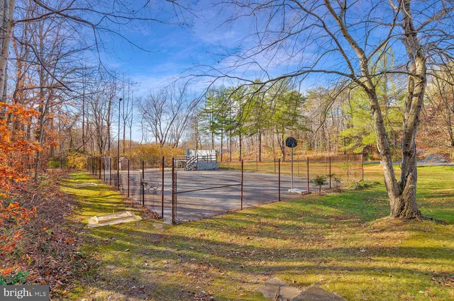 a view of an empty room with a small yard and large tree