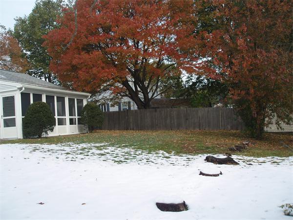 45 Sheffield Road Waltham, MA 02451 - Photo 14 of 16