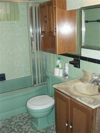 45 Sheffield Road Waltham, MA 02451 - Photo 6 of 16