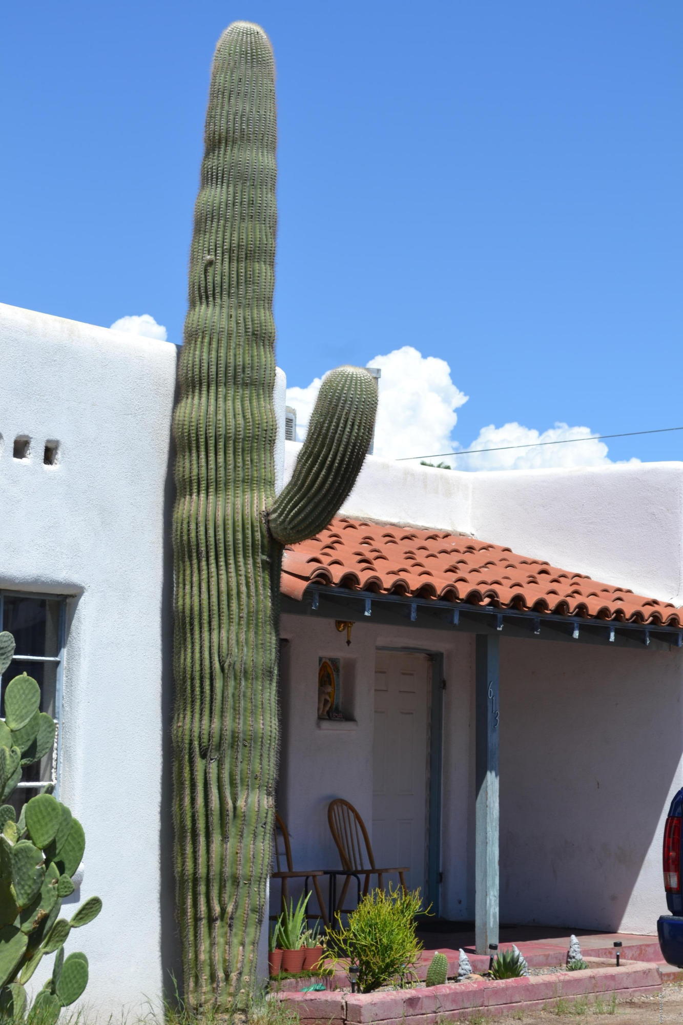 613 East Mohave Road Tucson, AZ 85705 - Photo 2 of 48