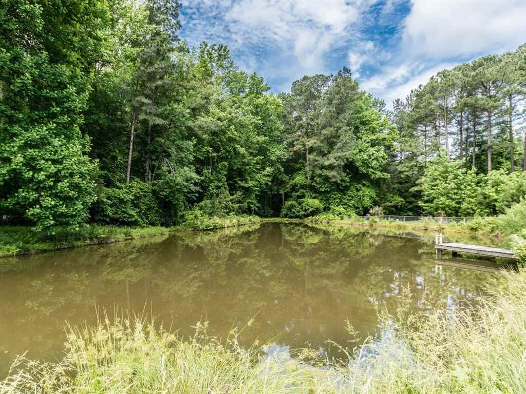 5008 Ten-Ten Road Apex, NC 27539 - Photo 23 of 25 Private Stocked Pond