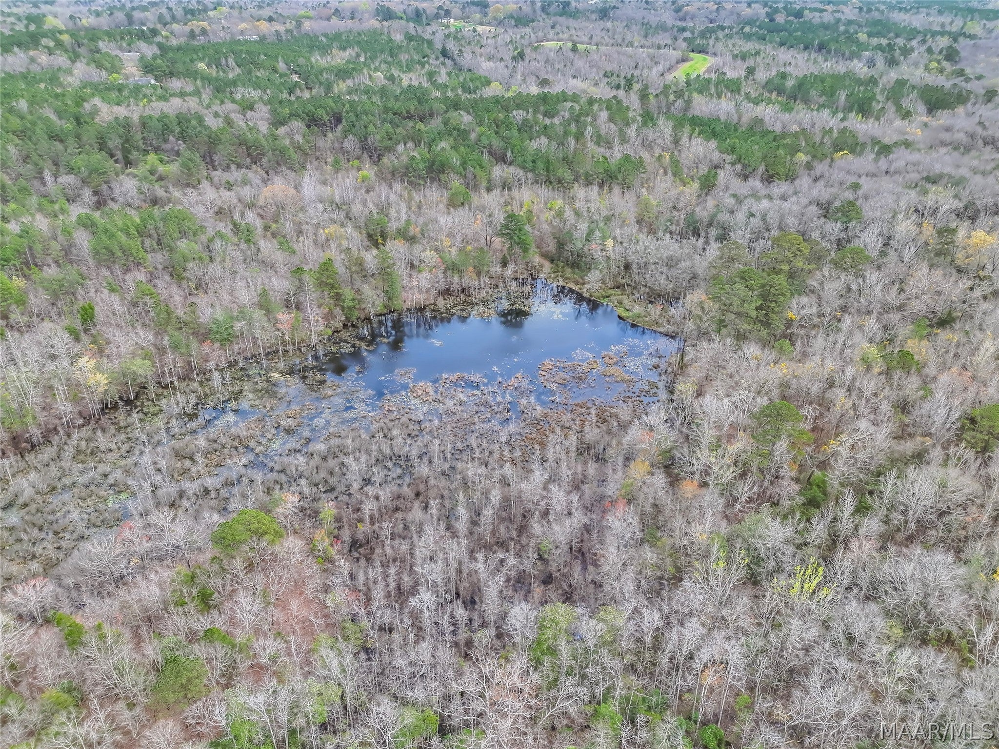 0 Brownin Road Ralph, AL 35480 - Photo 10 of 27 Gallery Image 10