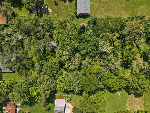 a view of a garden