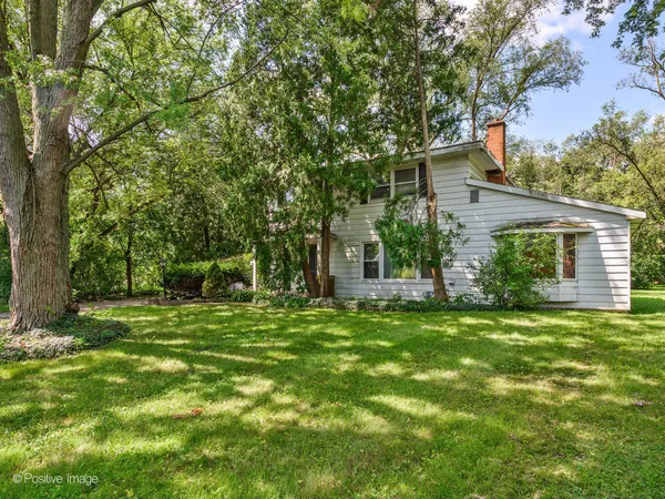 a backyard of a house with plants and large tree