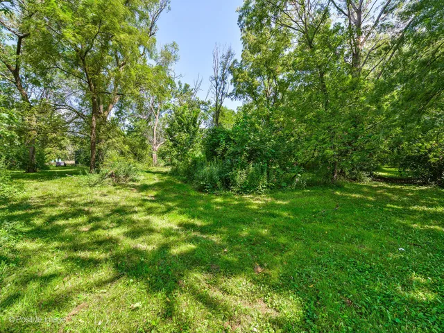 a view of yard with green space