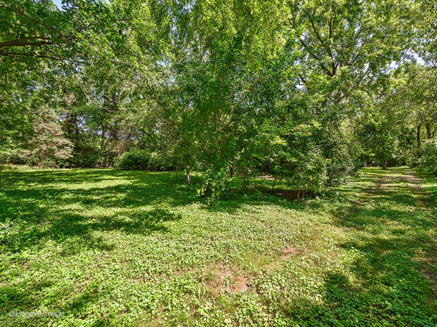5107 North Arlington Heights Road Long Grove, IL 60047 - Photo 10 of 21 a view of outdoor space with deck and yard
