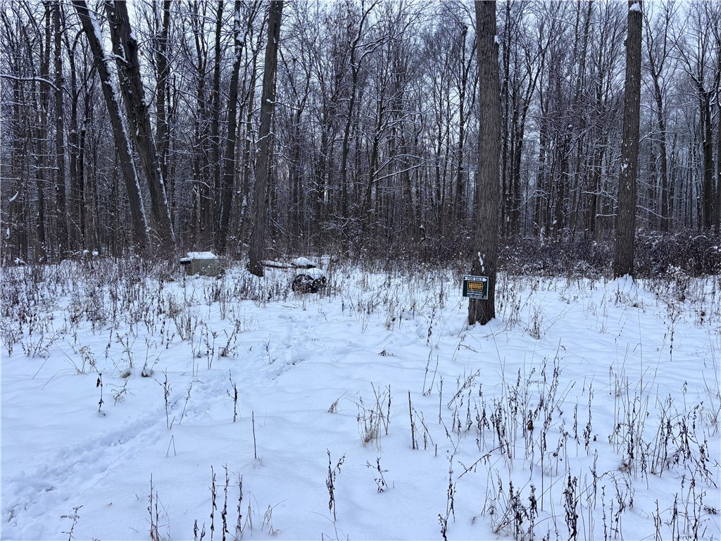 Sonyea Road Dansville, NY 14437 - Photo 2 of 7