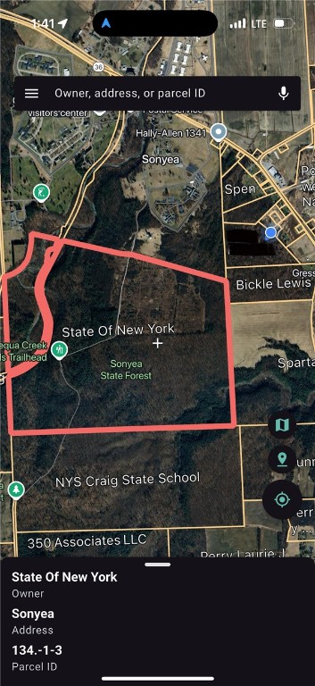 Sonyea Road Dansville, NY 14437 - Photo 3 of 7