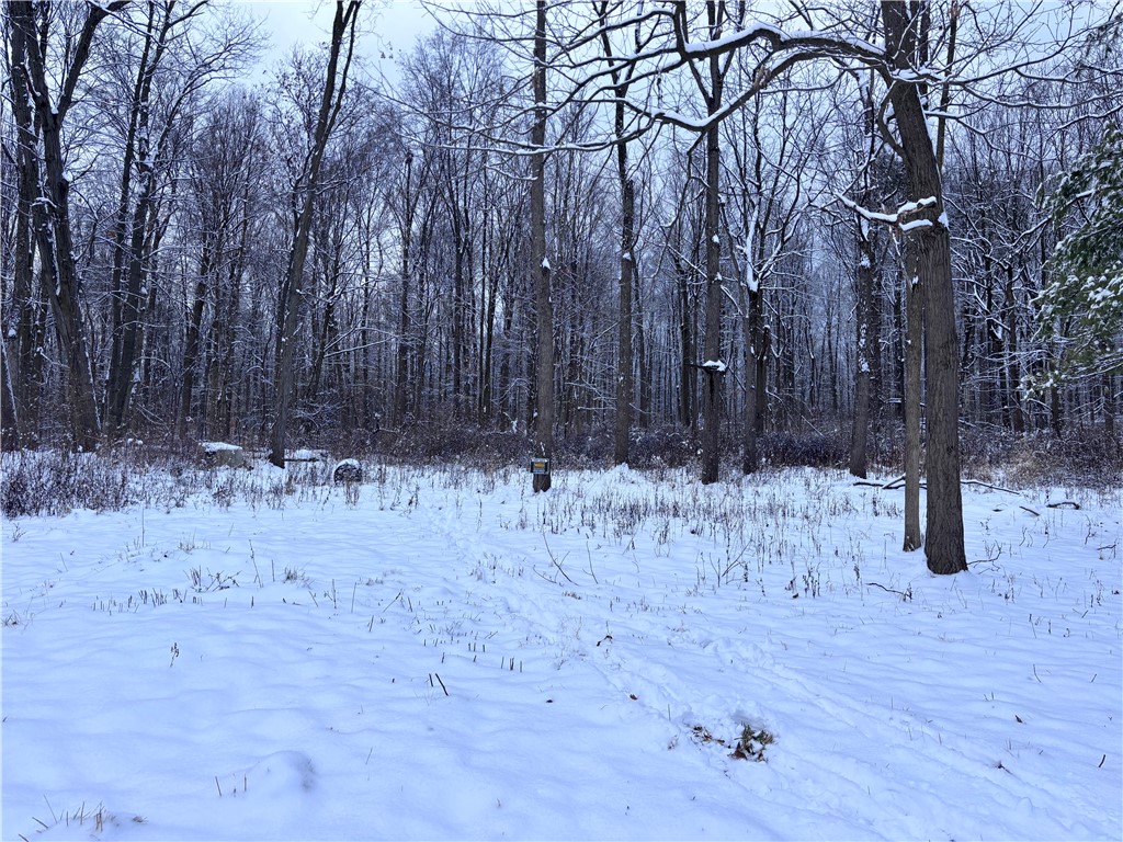 Sonyea Road Dansville, NY 14437 - Photo 7 of 7