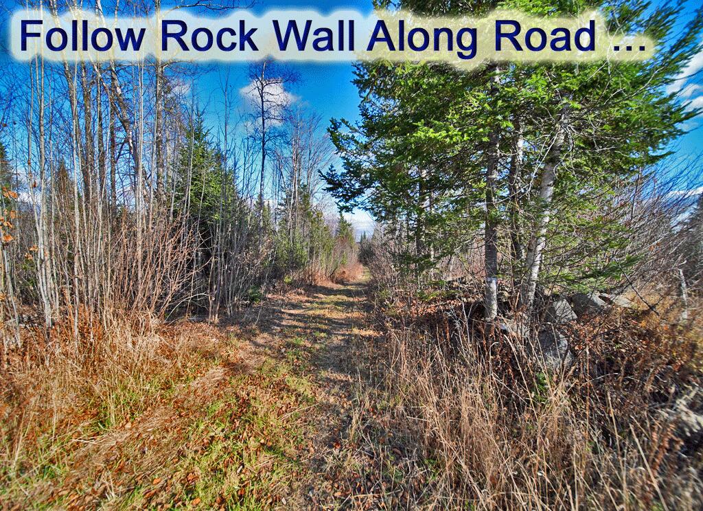 Lot 2 Off Bangor Road Houlton, ME 04730 - Photo 15 of 44 me-land-hidden-homestead