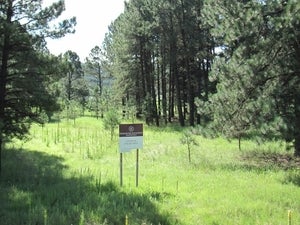 1102 Mechem Drive Ruidoso, NM 88345 - Photo 1 of 1 Gallery Image 1