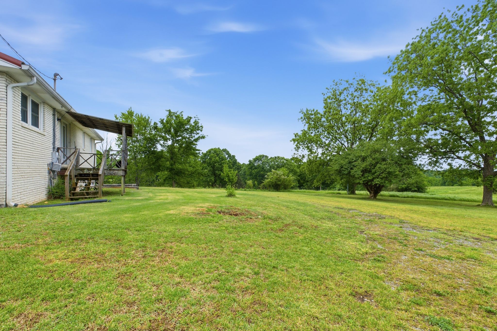 150 Mutt Road White Bluff, TN 37187 - Photo 47 of 48