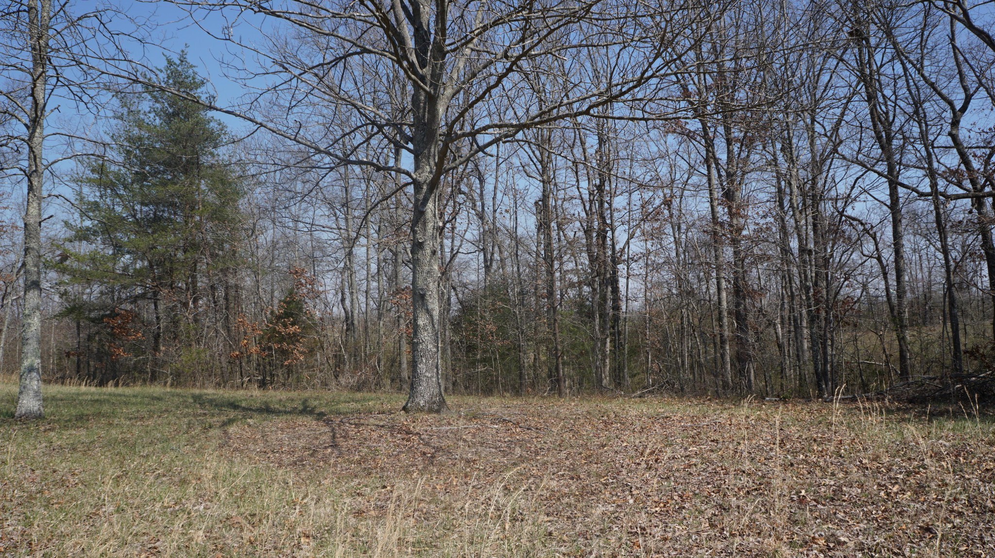 74 Genesis Road Crossville, TN 38555 - Photo 19 of 30 Gallery Image 19