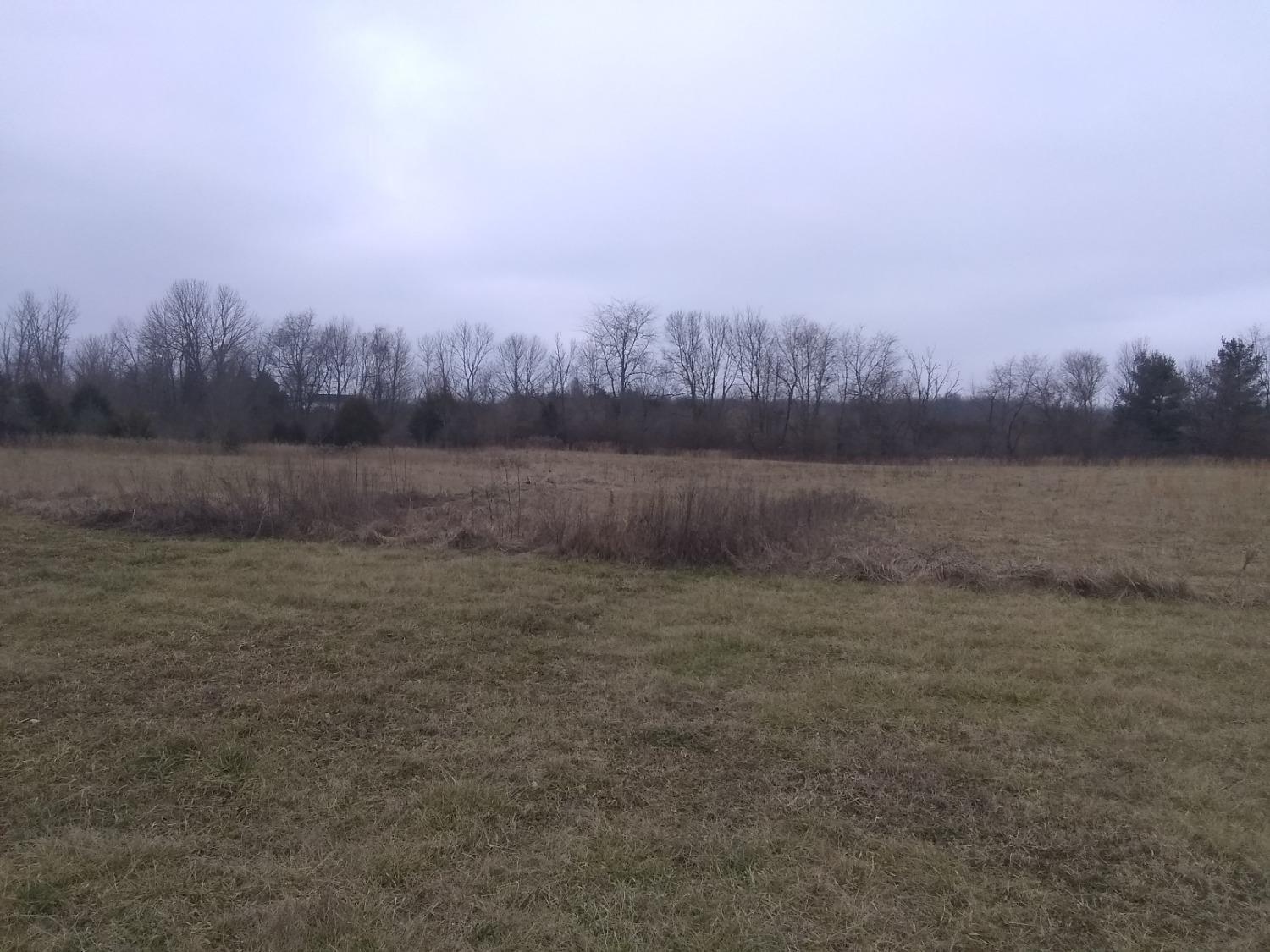 12445 Monroe Road Leesburg, OH 45135 - Photo 4 of 18 Gallery Image 4