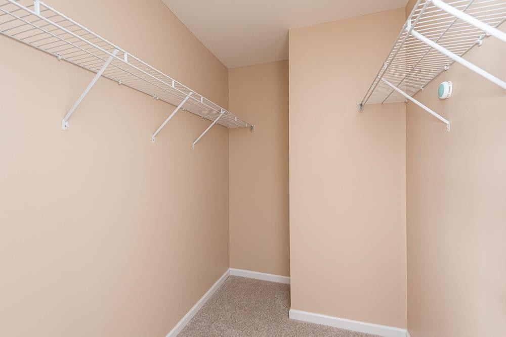 3519 Oneonta Avenue Raleigh, NC 27604 - Photo 19 of 30 Walk-in closet in Primary Bedroom with wire shelving. Walk in Closet